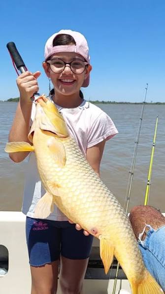 Carpa